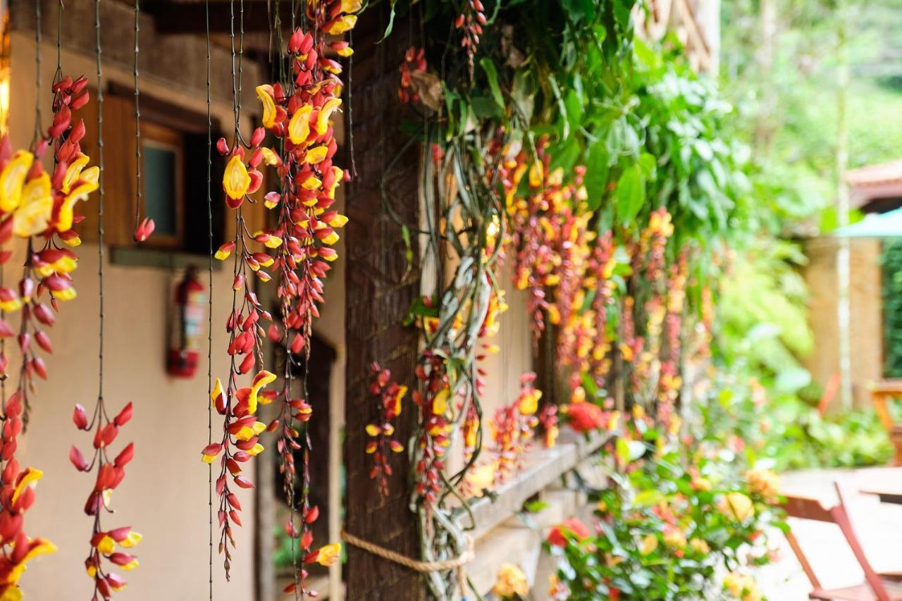 Pousada Pouso Do Farol 乌巴图巴 外观 照片
